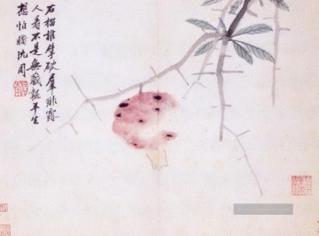 沈周 Shen Zhou Werke - Alte China Tinte legen und reisen